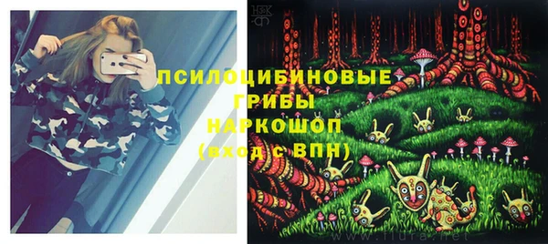 mix Пестово