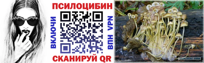 ОМГ ОМГ зеркало  Каменногорск  Псилоцибиновые грибы Magic Shrooms 