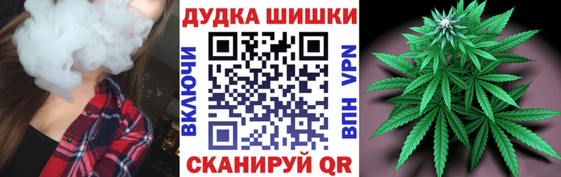 Каннабис сатива Каменногорск